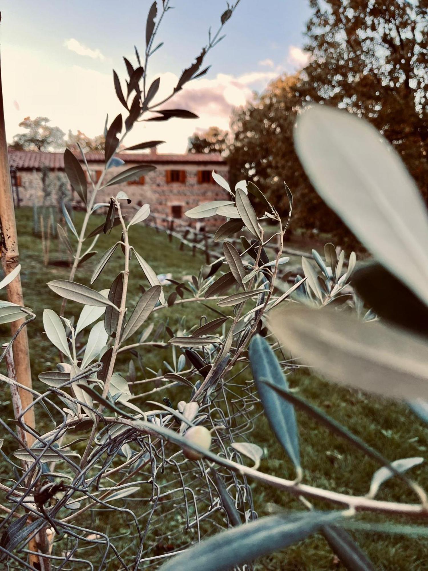 Casetta Di Ugolino Radicofani Esterno foto
